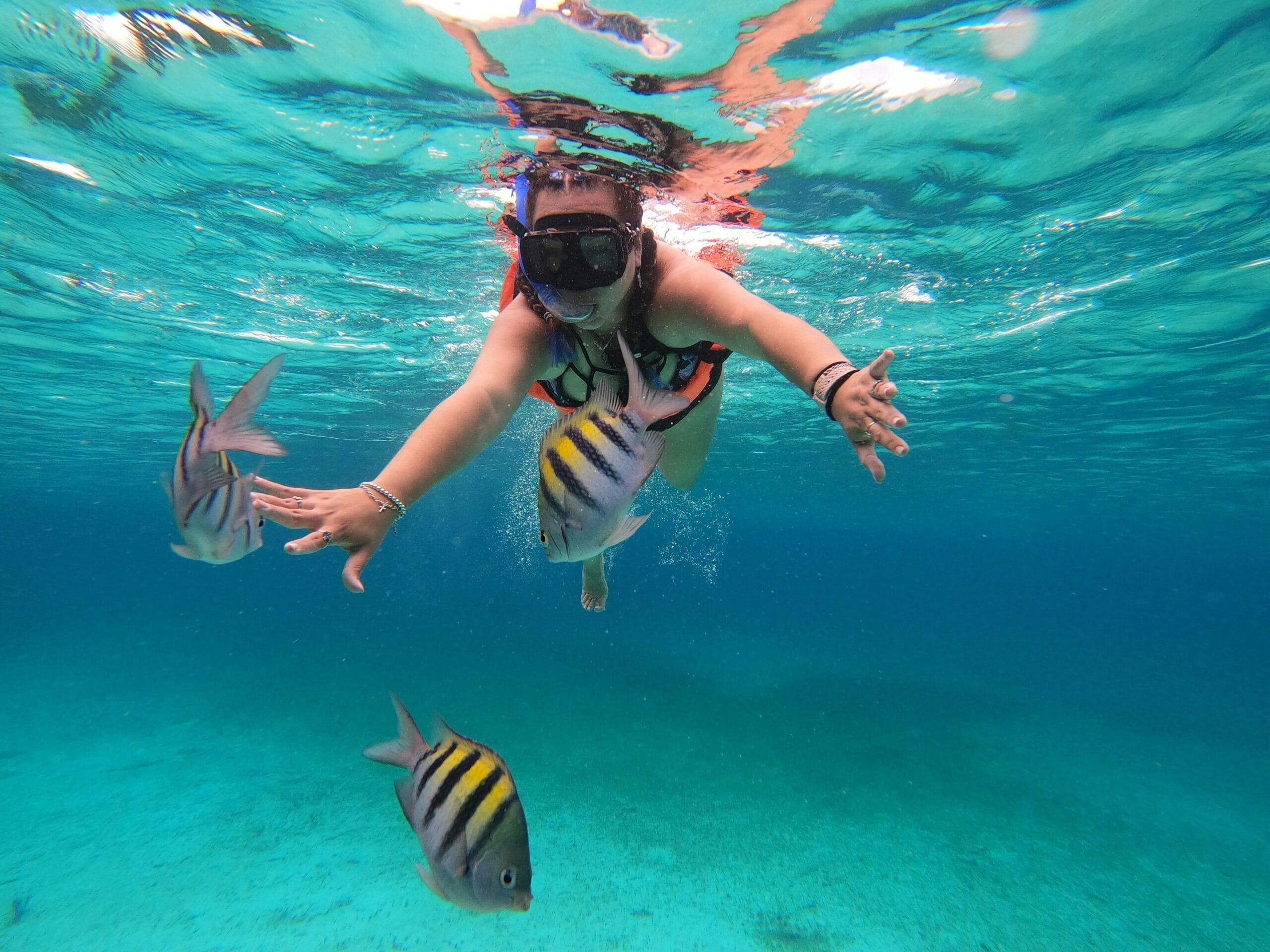 Half Day Mnemba Island Group Snorkeling Tour