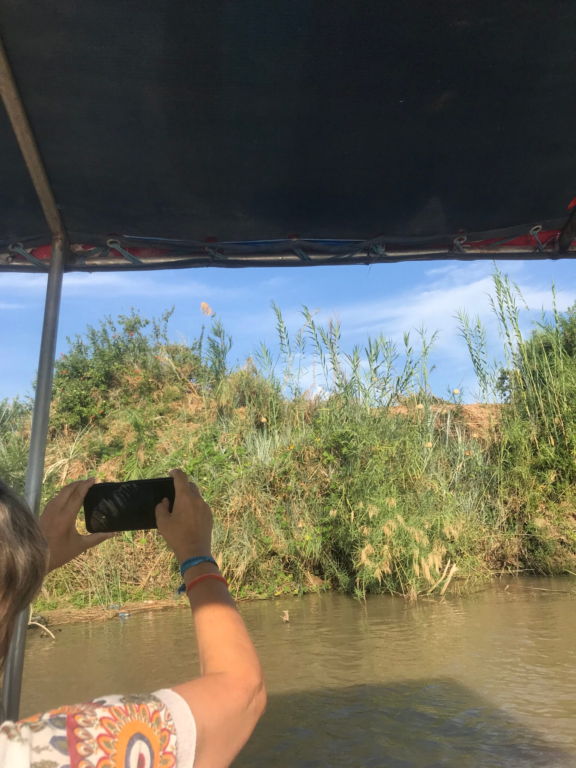 Unforgettable wildlife viewing on a Nyerere National Park safari with Saving Tour