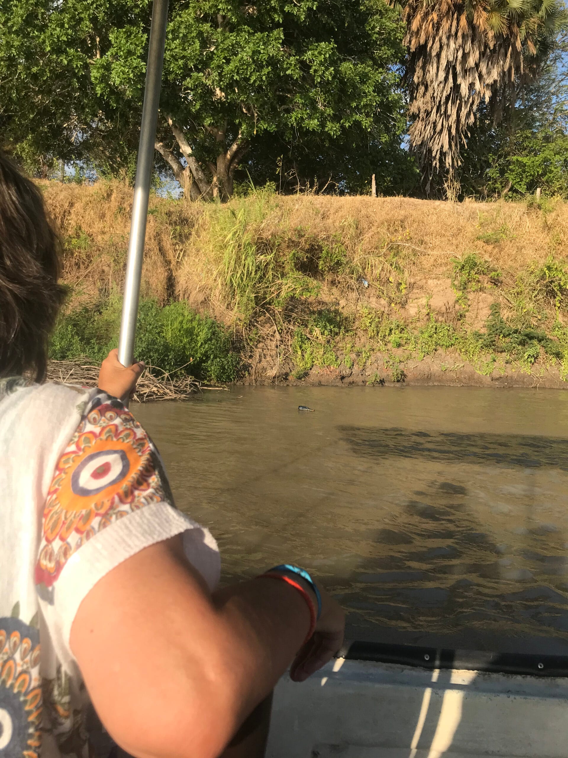 Scenic boat safari experience along the Rufiji River in Nyerere National Park