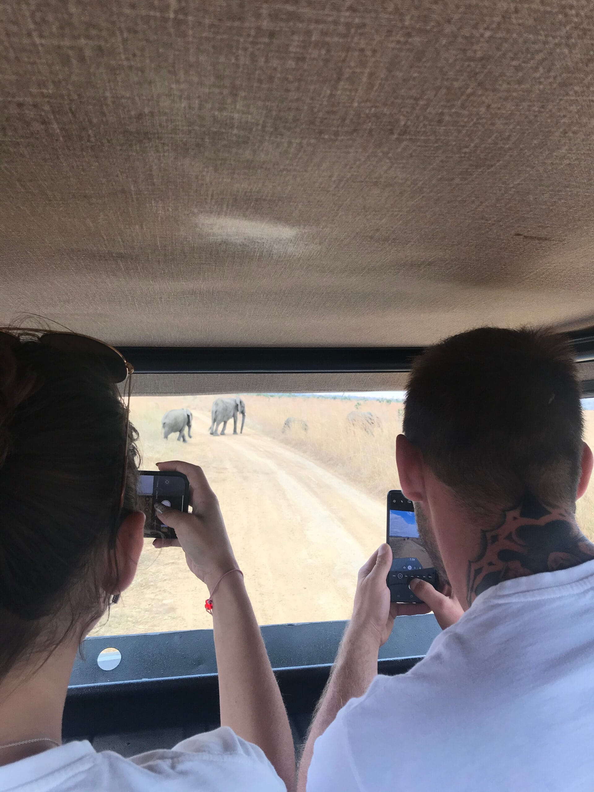 Day Safari to Mikumi National Park from Zanzibar